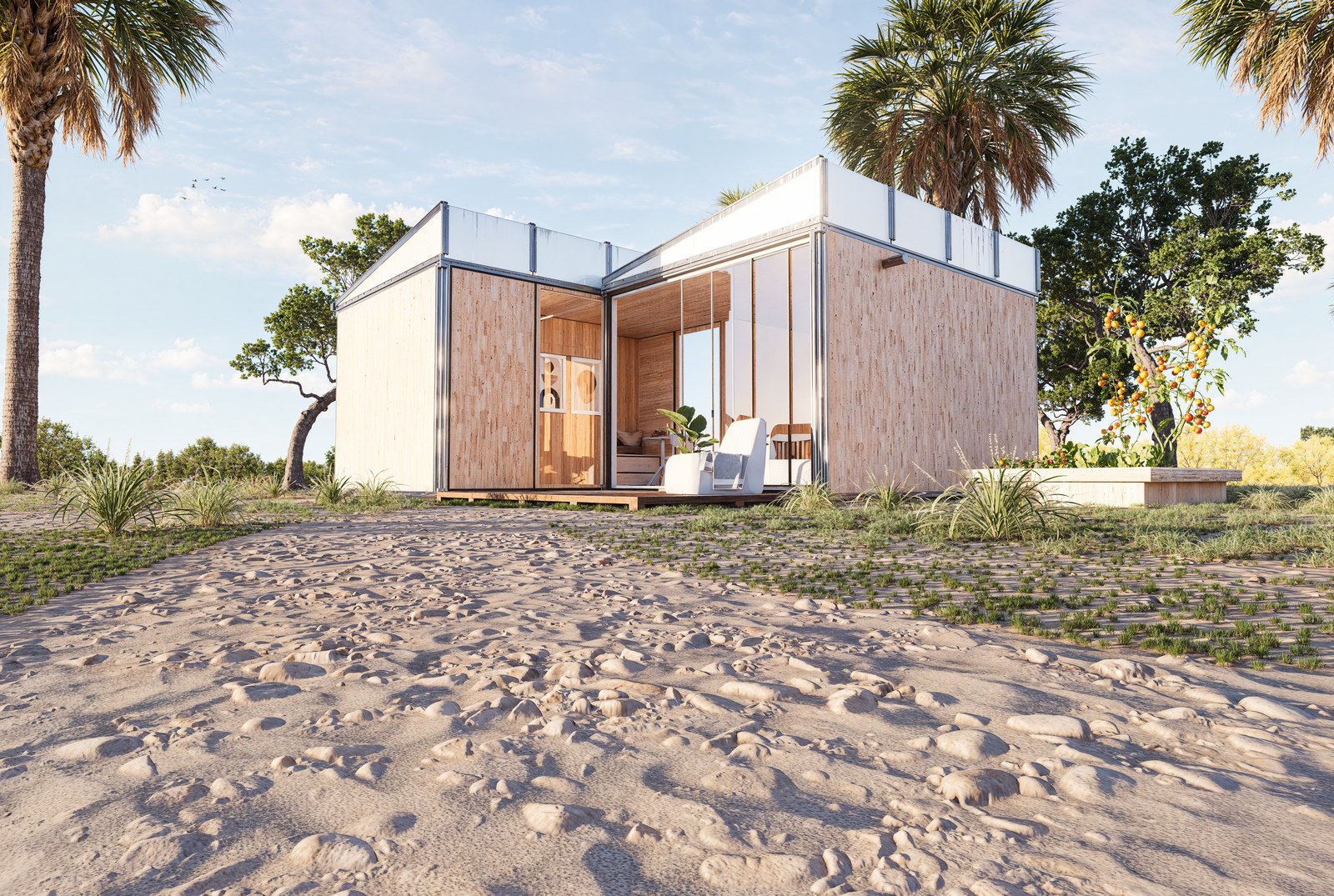 Single Anyplace module — palm trees, sandy coastal setting